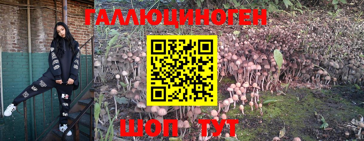Галлюциногенные грибы ЛСД Урай